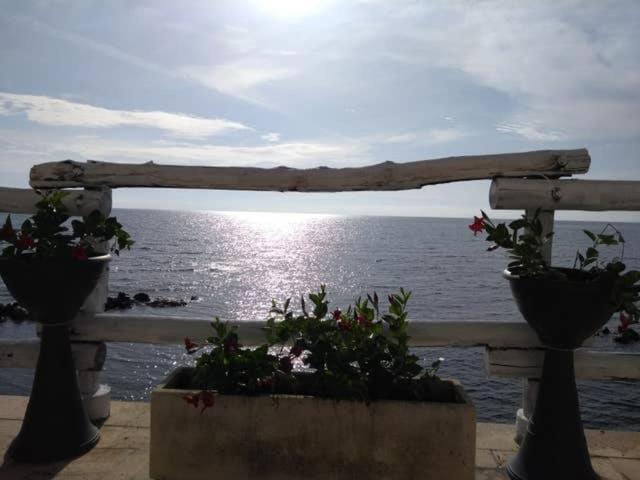 Al Chiaro Di Luna Resort Borgo Pantano Esterno foto